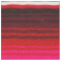 多彩なメキシコスタイル