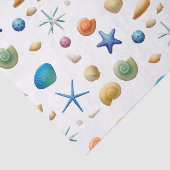 多彩な貝殻 薄葉紙 (詳細)