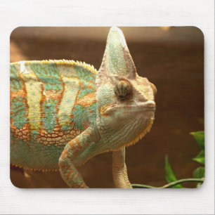 多彩なlizzard マウスパッド