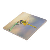 多彩のトンボ タイル (側面)