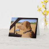 多忙な犬 カード (黄色い花)