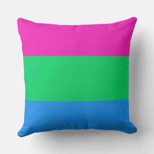 多性国旗 クッション (裏面)