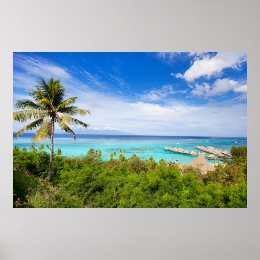 多日地 ポスター (正面)