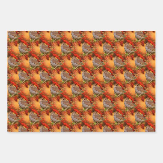 多様なエルミットツグミとリングや輪ハシバメの鳥 ラッピングペーパーシート (正面3)