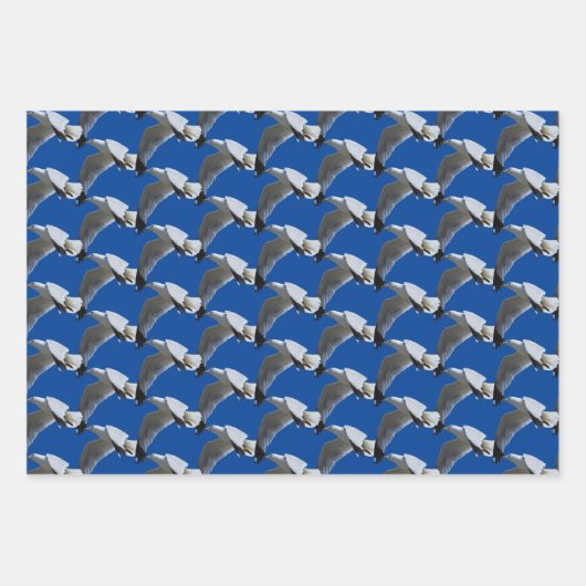 多様なエルミットツグミとリングや輪ハシバメの鳥 ラッピングペーパーシート (正面2)