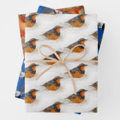 多様なエルミットツグミとリングや輪ハシバメの鳥 ラッピングペーパーシート (インサイチュ)