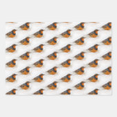 多様なエルミットツグミとリングや輪ハシバメの鳥 ラッピングペーパーシート (正面)