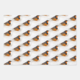 多様なエルミットツグミとリングや輪ハシバメの鳥 ラッピングペーパーシート