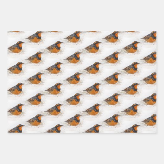 多様なエルミットツグミとリングや輪ハシバメの鳥 ラッピングペーパーシート (正面)