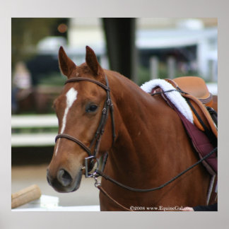 多様化アーティストポスター2 ポスター