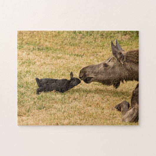 多様性 ジグソーパズル (横)