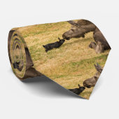 多様性 ネクタイ (ロール)