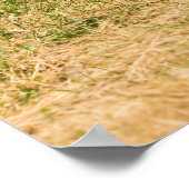 多様性 ポスター (角)