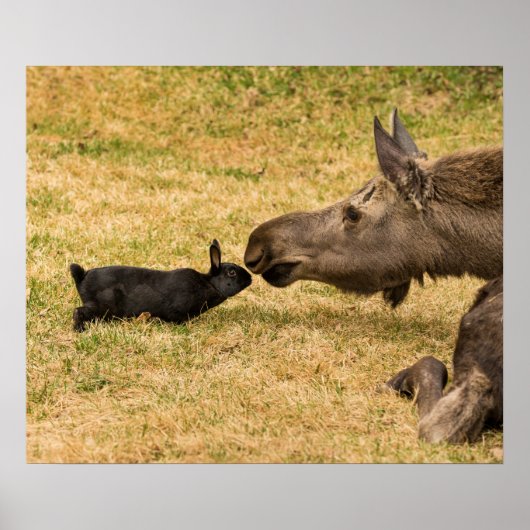 多様性 ポスター (正面)