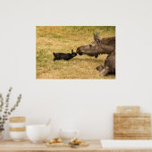 多様性 ポスター (キッチン)