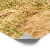 多様性 ポスター (角)