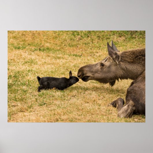 多様性 ポスター (正面)