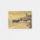 多様性 ポストイット (正面)