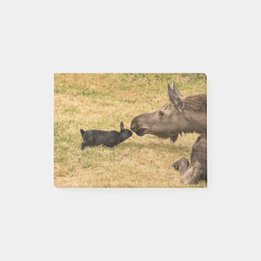 多様性 ポストイット (正面)