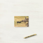 多様性 ポストイット (デスク上)