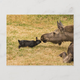 多様性 ポストカード