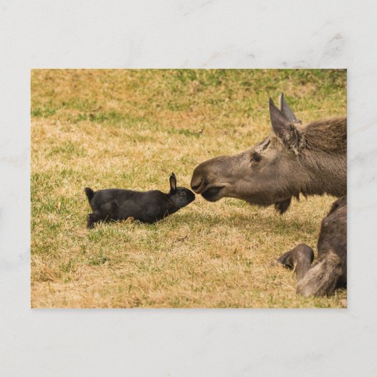 多様性 ポストカード (正面)