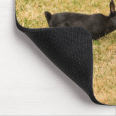 多様性 マウスパッド (コーナー)