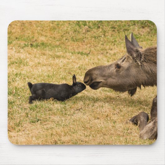 多様性 マウスパッド (正面)