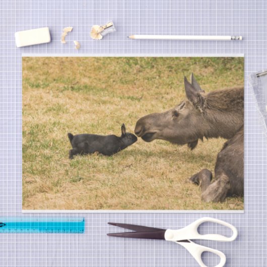 多様性 薄葉紙 (クラフト)