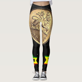 多武段レギンス レギンス