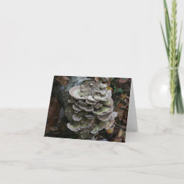 多毛菌カード空白の(Polypole Fungi Card) サンキューカード