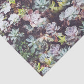 多汁の庭の植物の写真パターン 薄葉紙 (詳細)