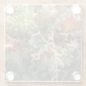 多汁性ガラスコースター ガラスコースター (裏面)