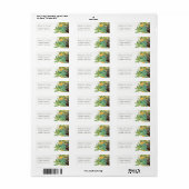 多汁性サボテンフローラガーデン水彩アドレス ラベル (フルシート)