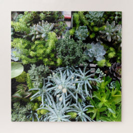 多汁性パズルサボテンの植物難 ジグソーパズル