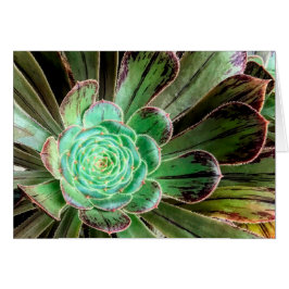 多汁性胎児用グリーティングカード