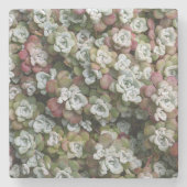 多汁性胞子嚢フローラ ストーンコースター (正面)