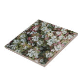 多汁性胞子嚢フローラ タイル (側面)