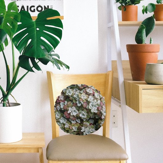 多汁性胞子嚢フローラ ラウンドクッション