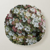 多汁性胞子嚢フローラ ラウンドクッション (正面)