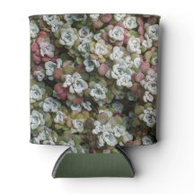 多汁性胞子嚢フローラ