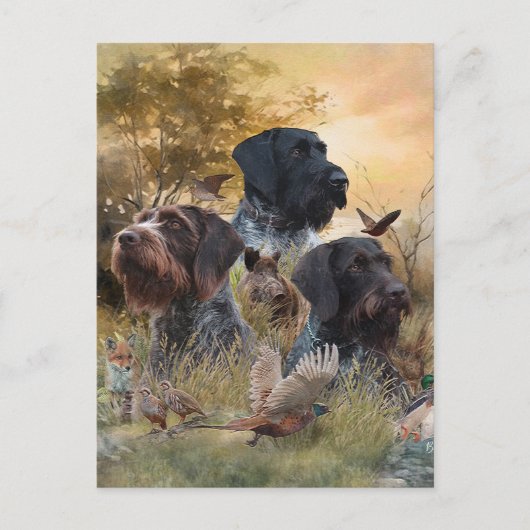 多用途狩りドッグ ポストカード (正面)