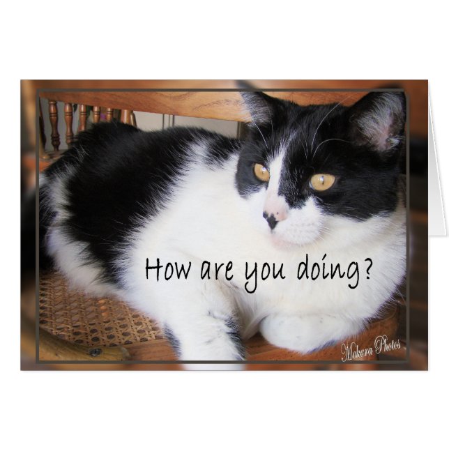 多目的カード決定します (正面横)