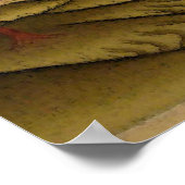 多羅女性仏菩薩Jetsun Dolma ポスター (角)