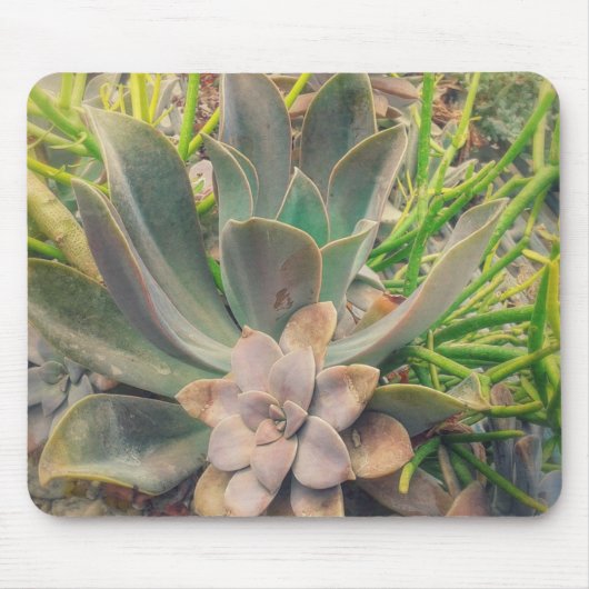 多肉かわいらし植物 マウスパッド (正面)