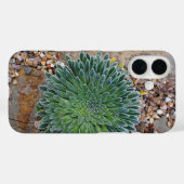 多肉の砂漠の植物 Case-Mate iPhoneケース (裏面 (横))