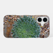 多肉の砂漠の植物 iPhone 16ケース (裏面横)