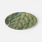 多肉ぶら下がったの ペーパープレート (アングル)