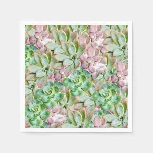 多肉カラフルの スタンダードカクテルナプキン (正面)
