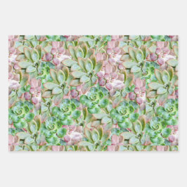 多肉カラフルの ラッピングペーパーシート